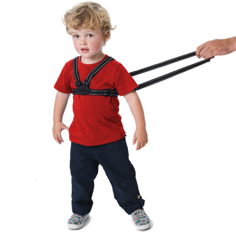 Red Kite Harness & Reins