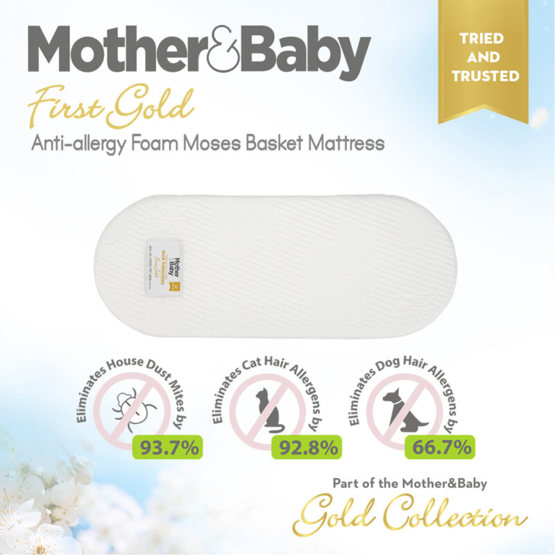 1 mother and baby first gold moses basket mattress